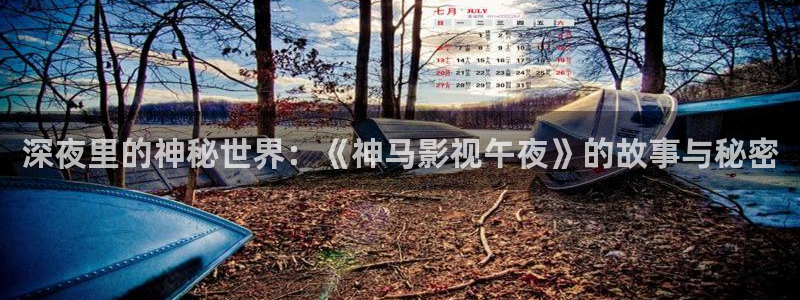 99麻豆免费视频