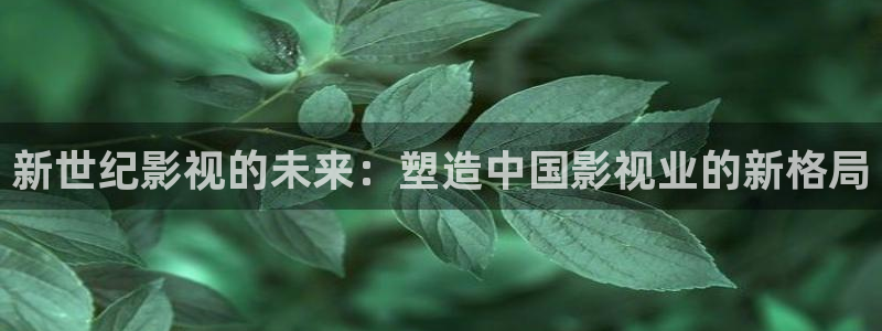 影院麻豆：新世纪影视的未来：塑造中国影视业的新格局