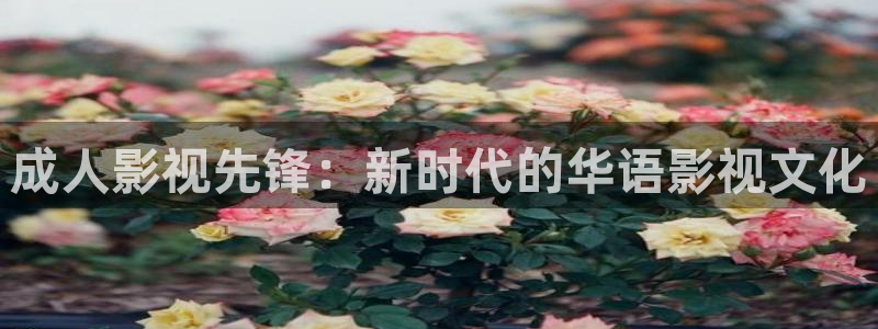 麻豆精品电影在线观看：成人影视先锋：新时代的华语影视文化